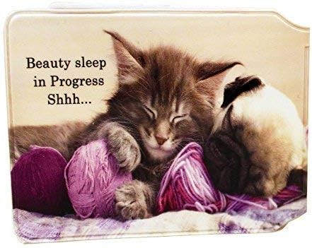 Cat and dog credit card - credit,
